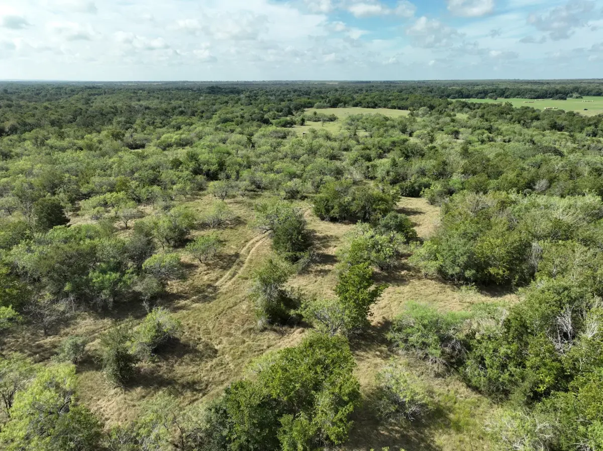 Open Texas pastureland