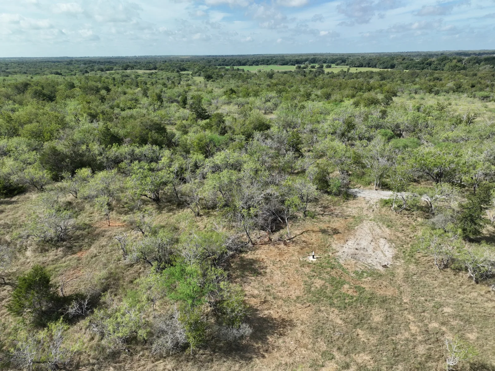 Waelder Ranches aerial photo 6 — 2.7-5 acres of Texas land for sale in Waelder, TX