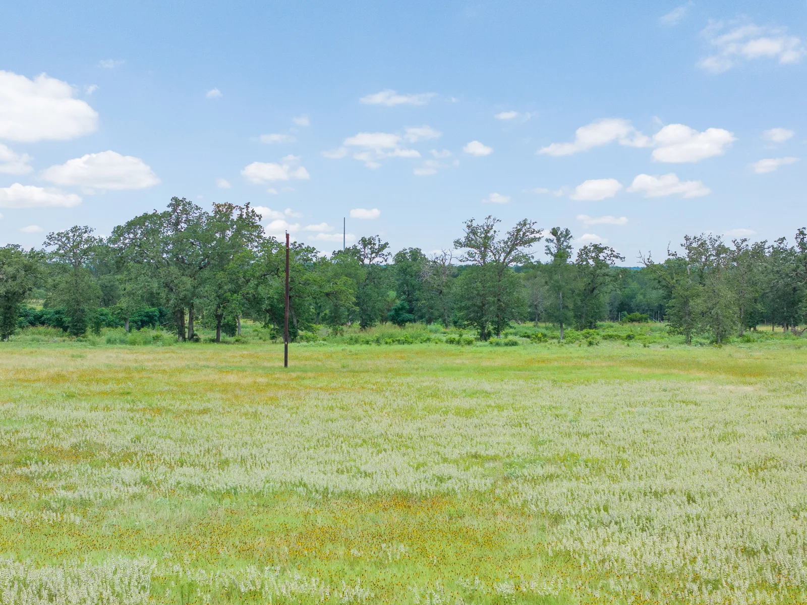 Campo De Oro photo 8 — 2-3.8 acres of Texas land for sale in Lockhart, TX, Texas