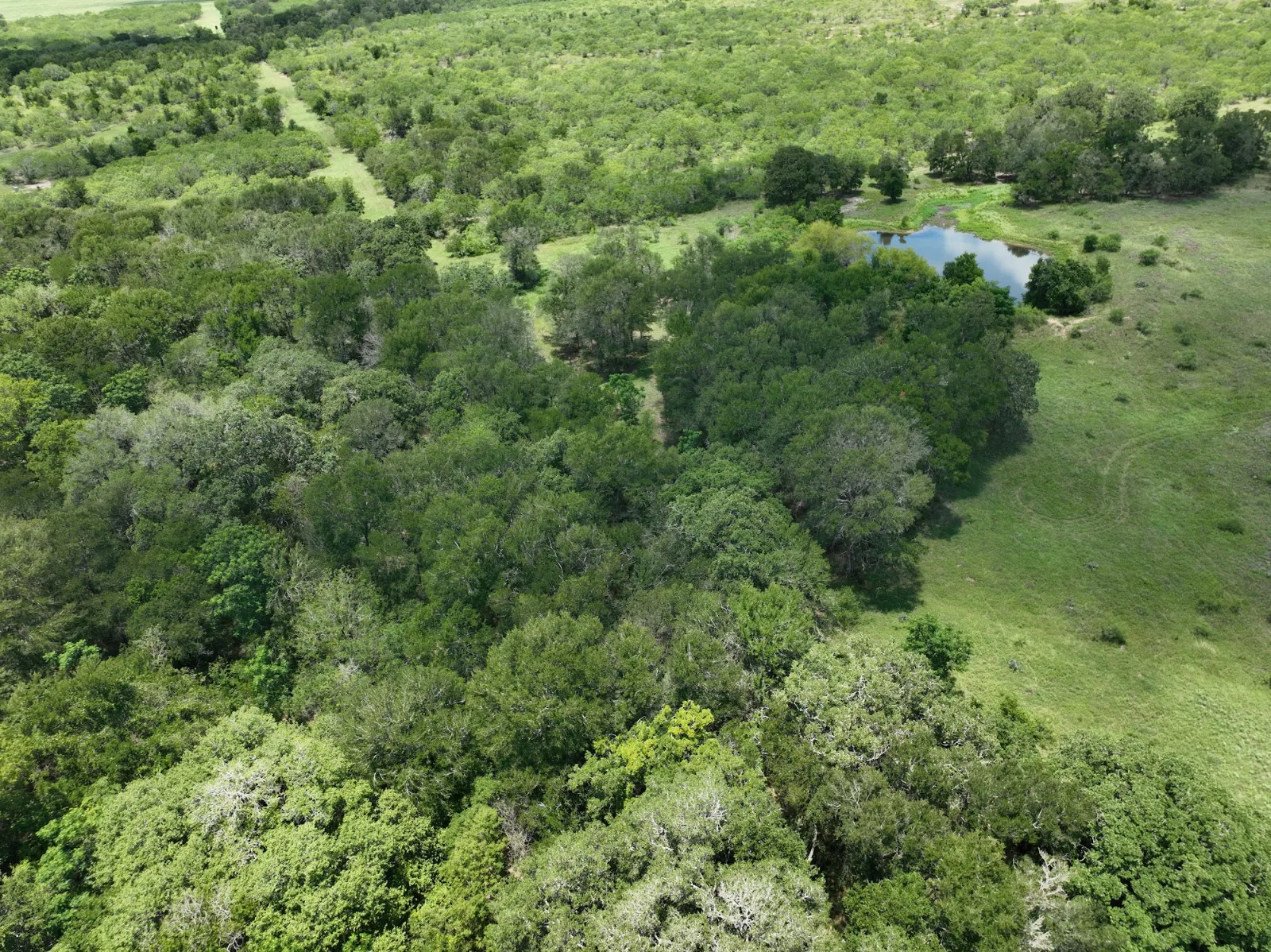 McCormick Ranch aerial view — 119 acres for sale in Lockhart, TX, Texas