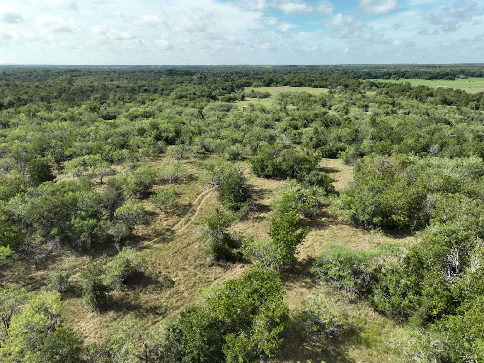 Texas ranch land at sunset