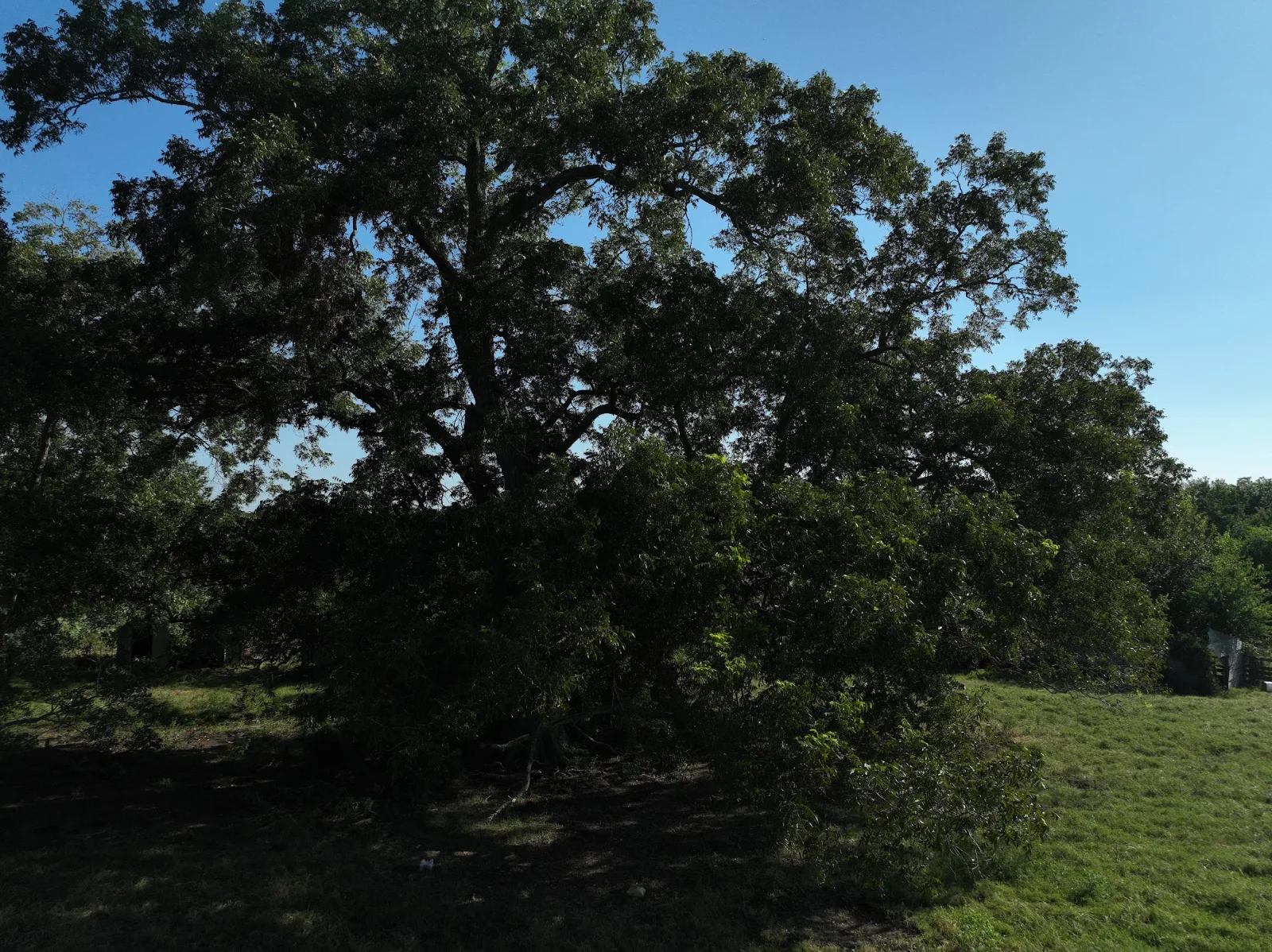 Sandy Hill Farms aerial photo 3 — 11+ acres of Texas land for sale in Brenham, TX