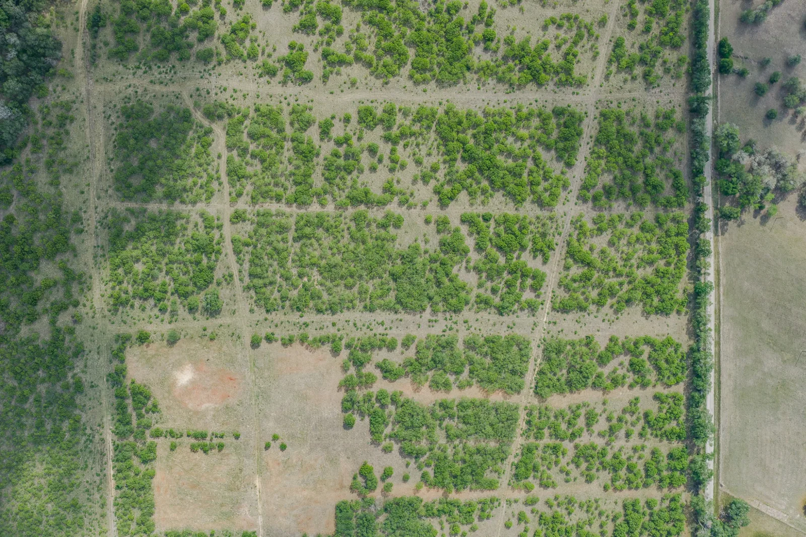 Seawillow Ranches aerial photo 2 — 8-13 acres of Texas land for sale in Seawillow, TX