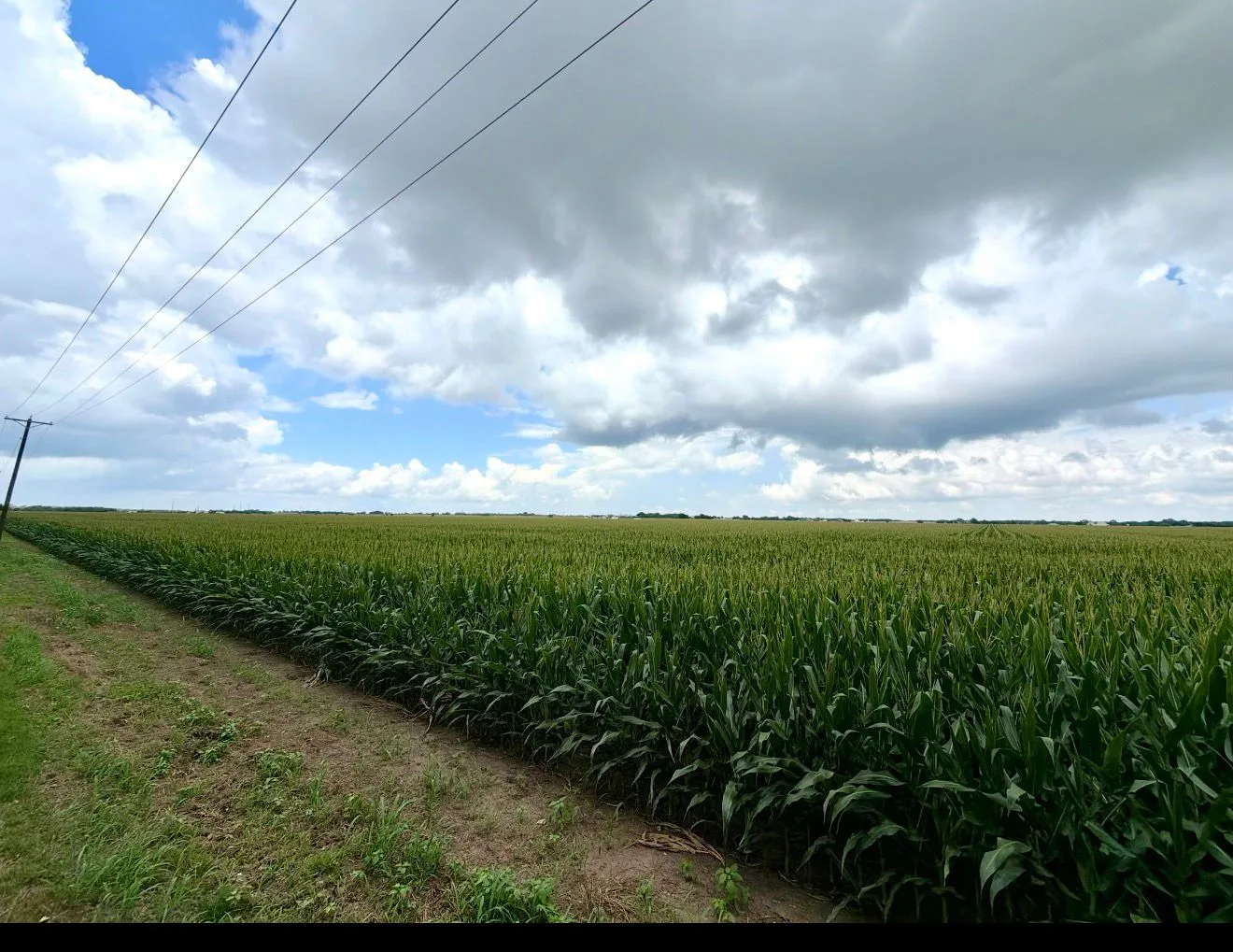 Vista Grande farmland — 2-16 acres for sale in Grandview, TX, Texas