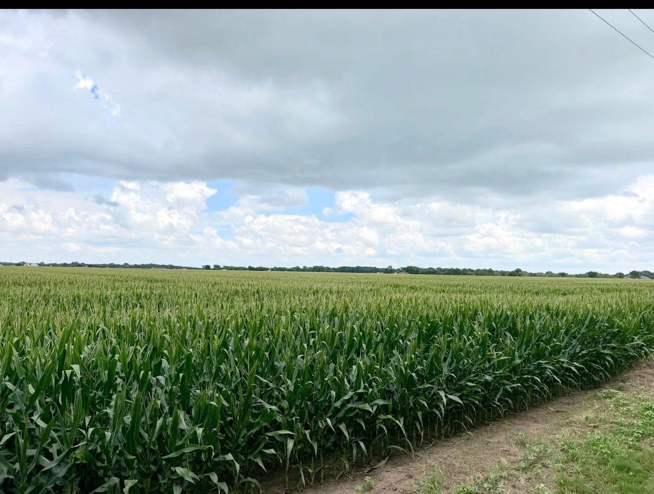 Vista Grande photo 4 — 2-16 acres of Texas land for sale in Grandview, TX, Texas