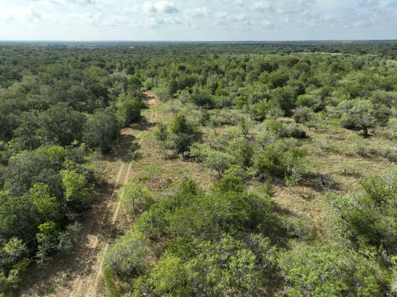 Waelder Ranches aerial photo 4 — 2.7-5 acres of Texas land for sale in Waelder, TX